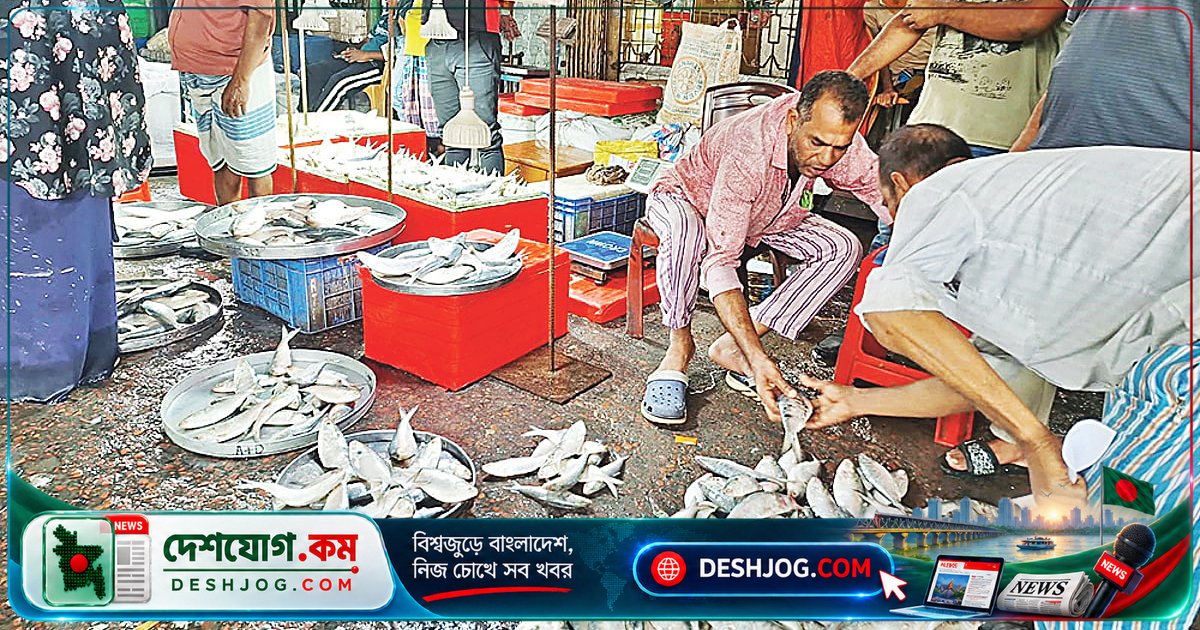 মৌসুমের শেষে ইলিশের আহরণ বেড়ে গেল, কিন্তু নিষেধাজ্ঞা এসেছে — জেলে-মৎস্যজীবীরা দাবি: ১০ দিন পিছিয়ে দিতে