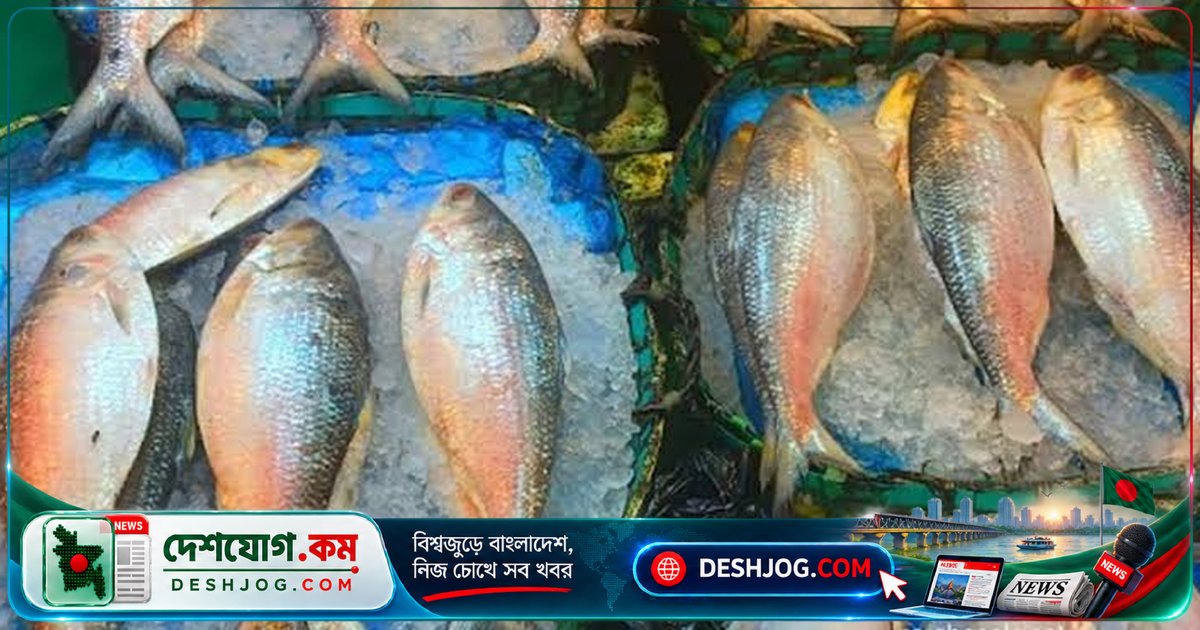ইলিশের দাম নিয়ন্ত্রণে সরকারকে আইনি চাপ: সুপ্রিম কোর্টের আইনজীবী নোটিশ দেন
