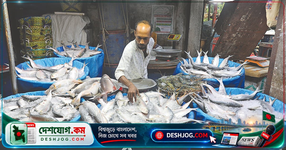 ইলিশের উৎপাদন ক্রমশ কমে যাচ্ছে: দূষণ, জাল ও আবহাওয়ার কারণে দামে চড়া