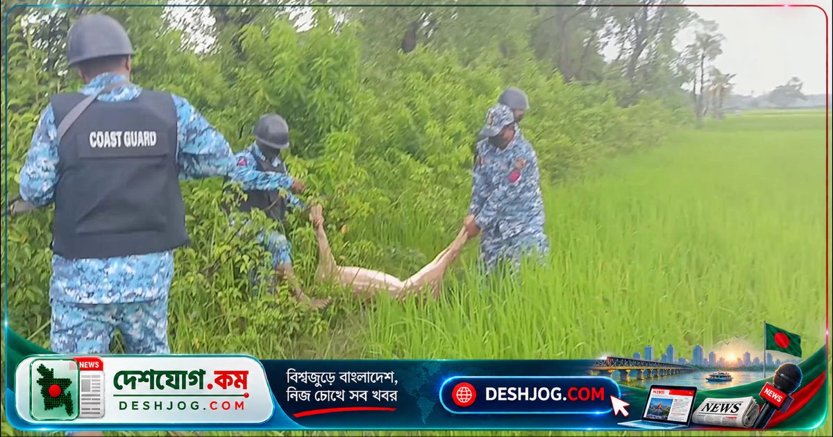 হাতিয়ায় অবৈধ শিকার ধরতে গিয়ে উদ্ধার হলো জবাই করা চিত্রা হরিণ