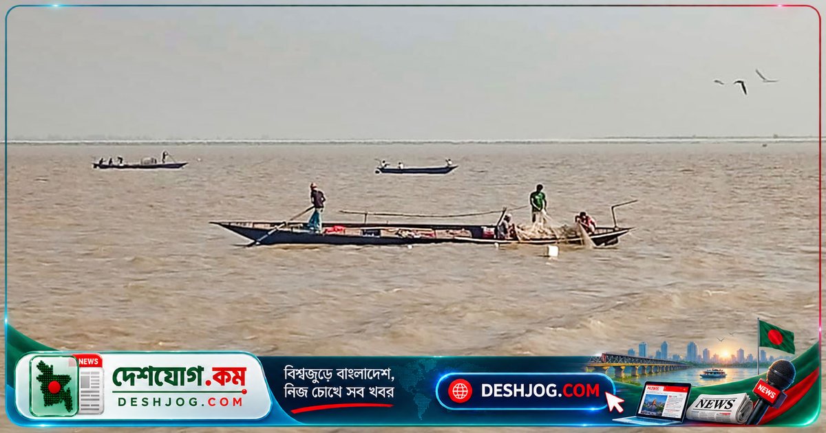 পদ্মা ও তেঁতুলিয়া নদীতে অবৈধ ইলিশ শিকার: সরকারি নিষেধাজ্ঞা উপেক্ষা করে চলছে মা ইলিশের অবৈধ বাজার