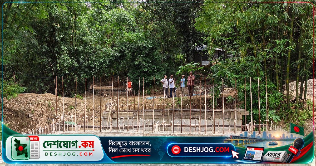 কক্সবাজারের সংরক্ষিত বনে অবৈধ সড়ক নির্মাণ: বনভূমি ও বন্য প্রাণীর অস্তিত্ব ঝুঁকিতে