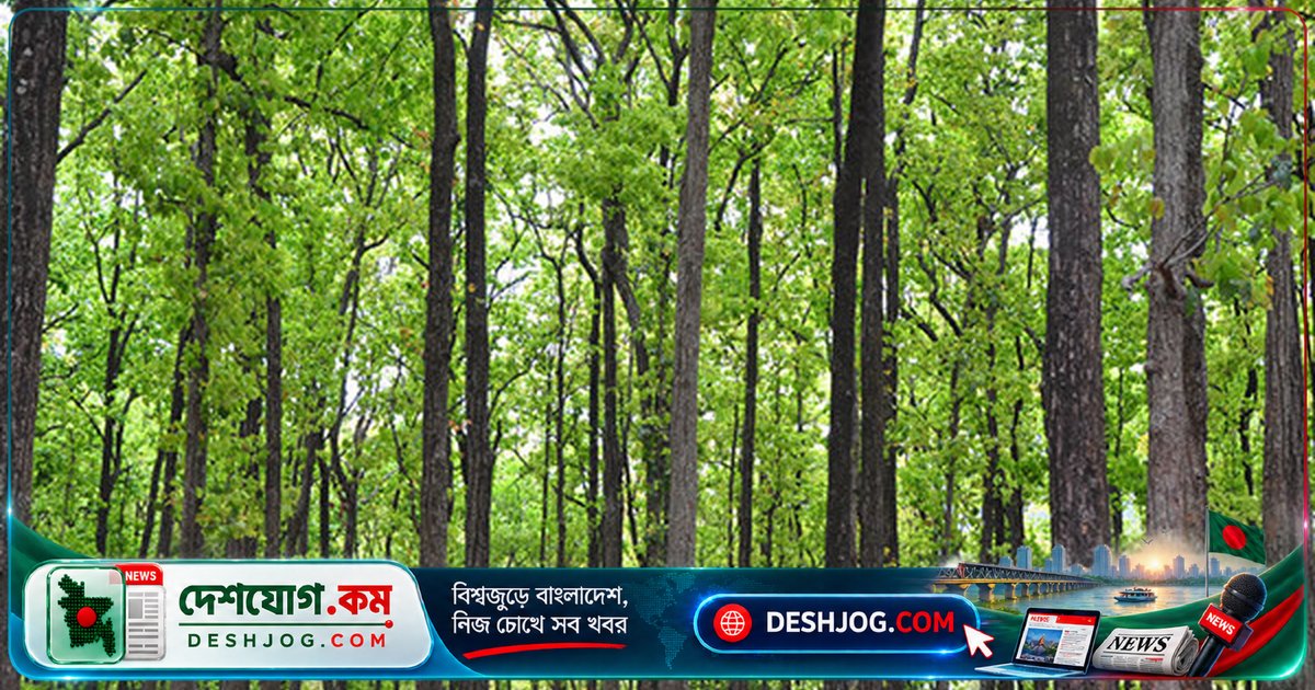 শালবনে মহামারী-রূপে ছড়িয়ে পড়া পোকার আক্রমণে ভারত কাটতে যাচ্ছে ১ লাখ ৫৬ হাজার গাছ