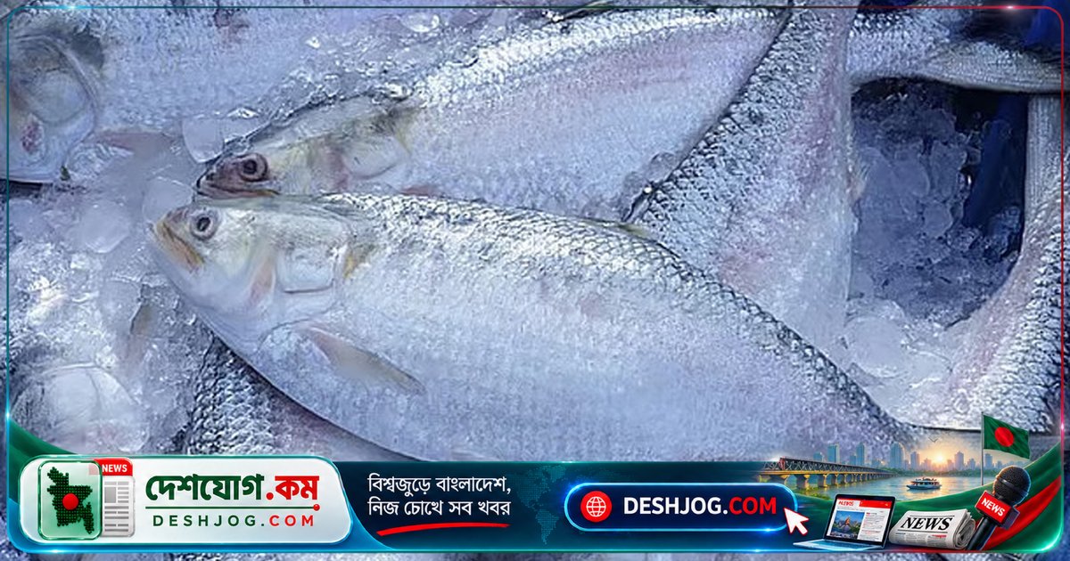 বাংলাদেশে ইলিশের ঘাটতি মেটাতে ভারত থেকে প্রথমবারের মতো আমদানি শুরু, ৫০০ মেট্রিক টন পৌঁছেছে দেশে