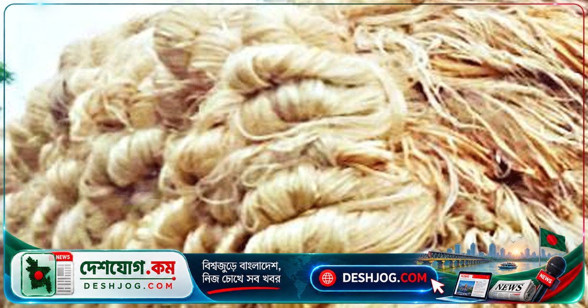 ভারত পাটপণ্যে অ্যান্টি-ডাম্পিং ও কাউন্টারভেইলিং শুল্ক বাড়িয়ে বাংলাদেশ-নেপালের রপ্তানিকে চ্যালেঞ্জ: পাটশিল্পের সুরক্ষা নিশ্চিত করার নতুন পদক্ষেপ