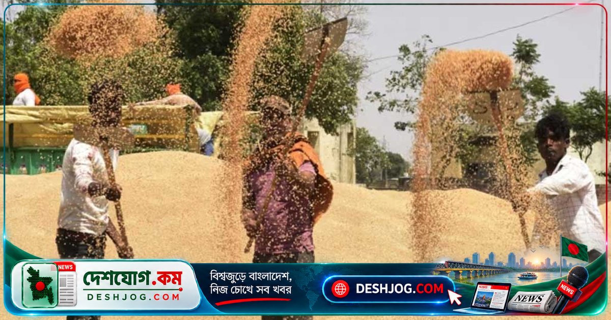 ভারতের গম রপ্তানি নিষেধাজ্ঞা প্রত্যাহার: বাংলাদেশের জন্য সুযোগ নাকি চ্যালেঞ্জ?