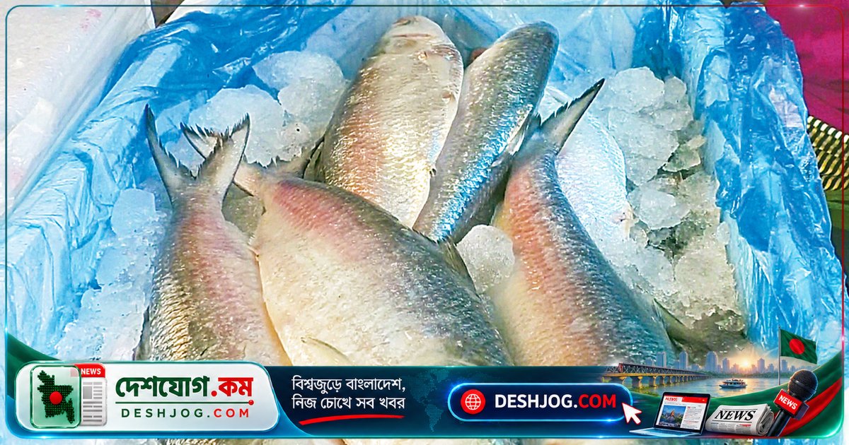 বরিশালের ইলিশের ছদ্মবেশে ভারতীয় আমদানি মাছ: গ্রাহকদের প্রতারিত করছে দাম ও মান