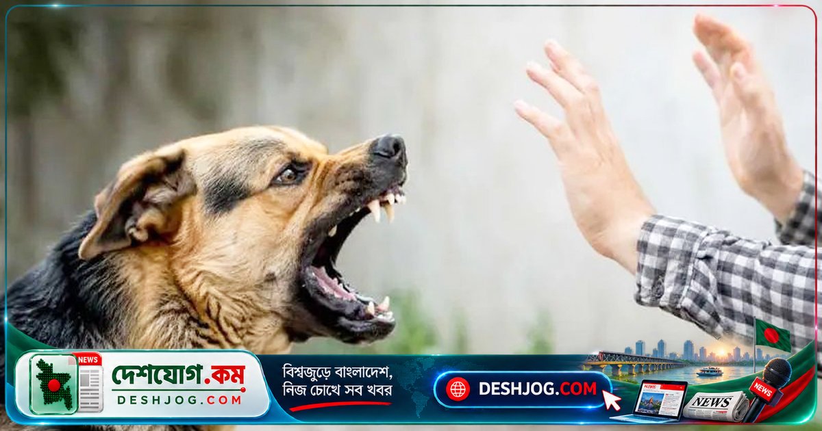 জলাতঙ্কের চূড়ান্ত লক্ষণ দেখা দেওয়ার পরও সুস্থ হয়ে উঠল ভারতের কিশোর করণ