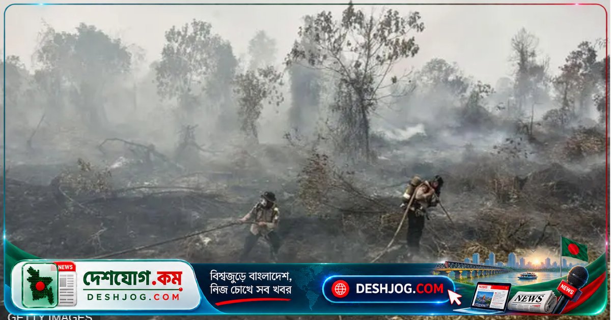 ইন্দোনেশিয়ার দাবানলের ধোঁয়ায় বিপর্যস্ত মালয়েশিয়া ও ফিলিপিন্স, স্বাস্থ্য সতর্কতা জারি