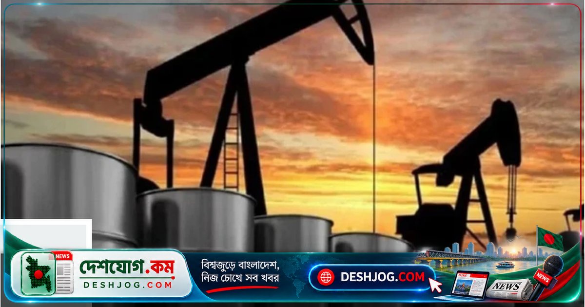 ইরান উত্তেজনা ও চীনের জ্বালানি নিষেধাজ্ঞা: বিশ্ববাজারে তেলের দাম ২৯ সেন্ট বেড়ে ১০২ ডলারে
