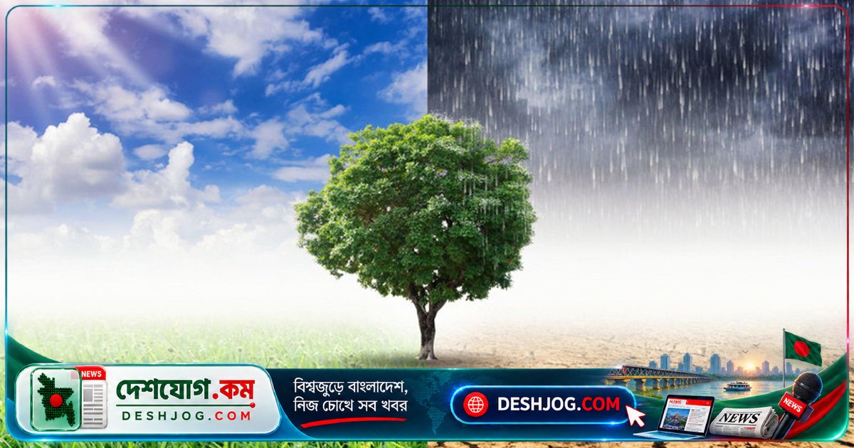 ইসলামে পরিবেশ রক্ষা: ইবাদত থেকে নেক আমল পর্যন্ত মহান আল্লাহর সৃষ্টির সুরক্ষা