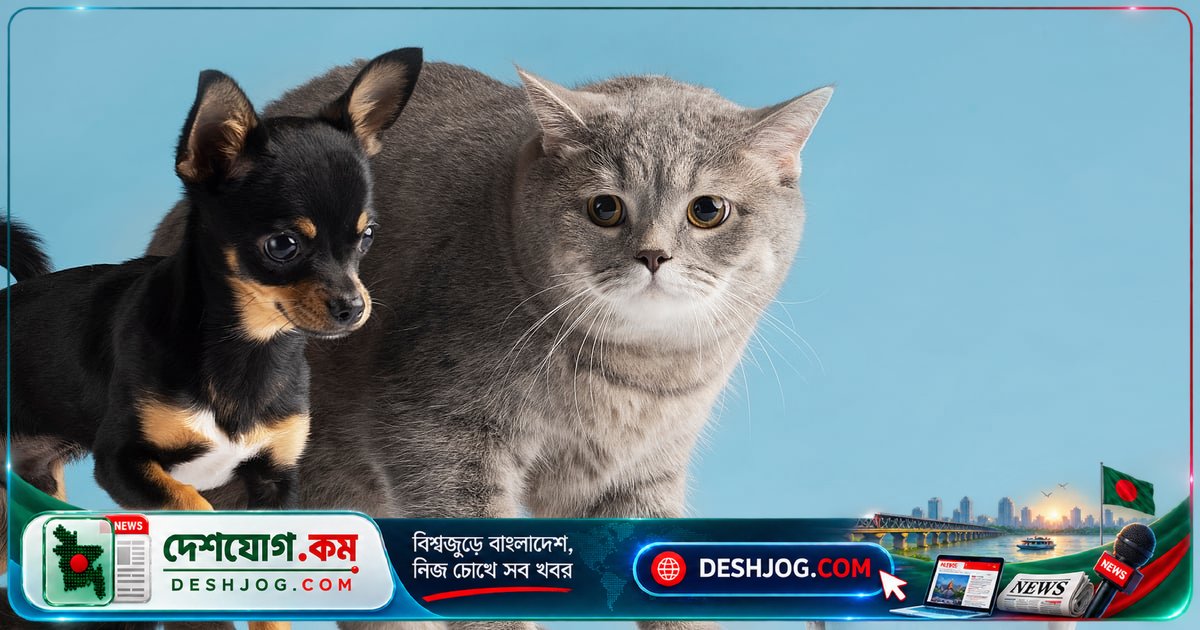 ইসলামে কুকুর ও বিড়াল পালনের প্রকৃত বিধান: কেন শখের কুকুর নিষিদ্ধ আর বিড়াল বৈধ?