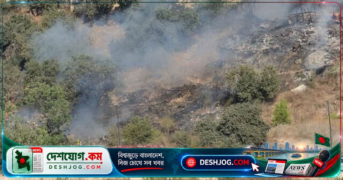 ইসরাইলে প্রশিক্ষণ বিমান বিধ্বস্তে এক নিহত, এক আহত; মহাসড়ক বন্ধ রাখা পুলিশ