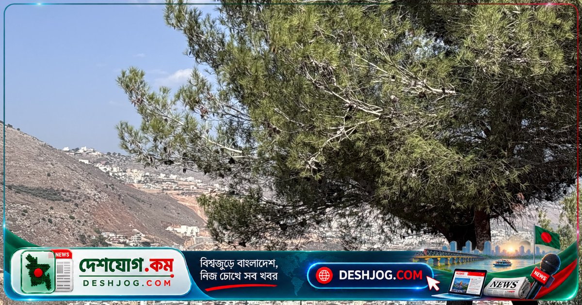 ফার-রাইট বিজয়ের পর প্যালেস্টাইনীয় ইসরায়েলি নাগরিকদের ভয়: তাদেরও লক্ষ্য হতে পারে আল-রুসের মতো ঘটনা