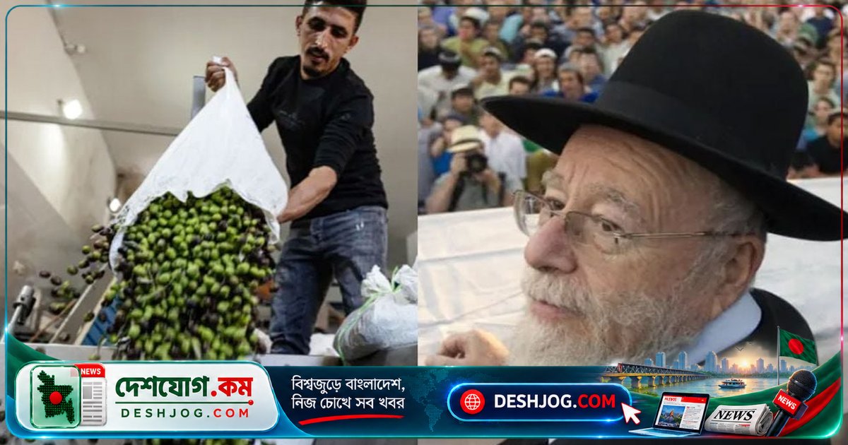 ইসরাইলের ধর্মীয় নেতা জলপাই চুরির ফতোয়া দিলে ফিলিস্তিনি কৃষকদের ওপর সহিংসতা বেড়ে যায়, তীব্র প্রতিক্রিয়া