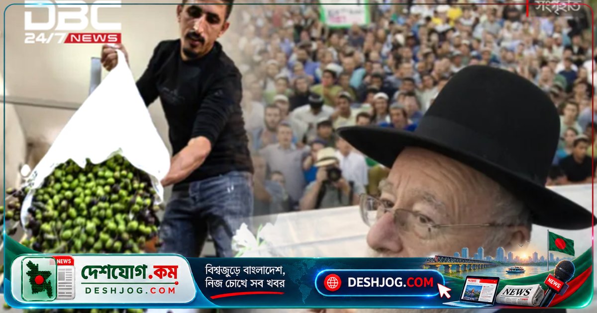 ইসরায়েলের কট্টরপন্থী রাব্বি জলপাই চুরি বৈধ ঘোষণা: ফিলিস্তিনি কৃষকদের ওপর হামলা বেড়েছে ৩৪টি ঘটনায় ১৯ জন আহত