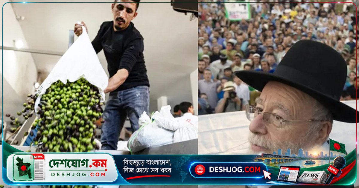 ইসরায়েলি ধর্মীয় নেতা বৈধতা দিলেন ফিলিস্তিনি জলপাই চুরির, বসতি স্থাপনকারীদের সহিংসতা জোরদার