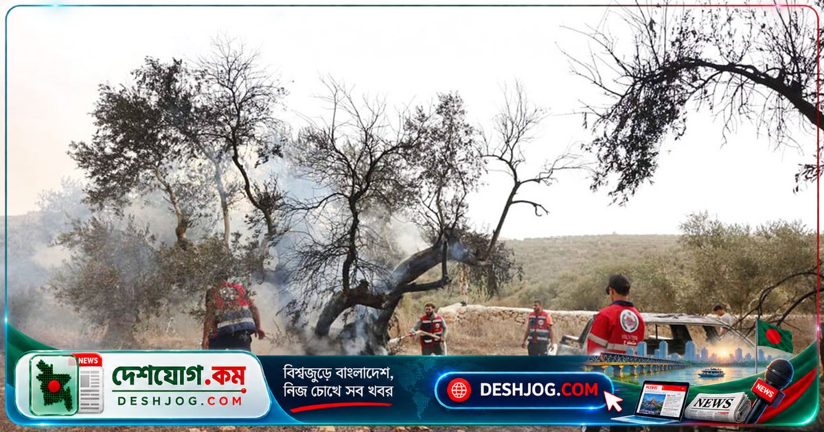 ইসরায়েলি সেটলারদের হামলায় পশ্চিম তীরে ইউরোপীয় কূটনীতিকদের নিরাপত্তা ভাঙা: দু’জন ফিলিস্তিনি আহত