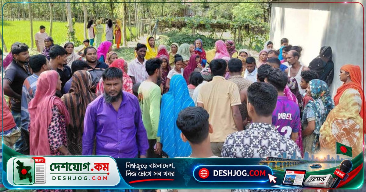 জামালপুরে ভ্যানগাড়ি দুর্ঘটনায় চালক মৃত্যুবরণ, এক নারী আহত