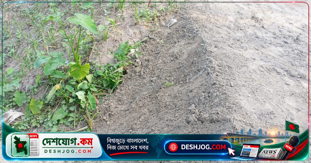 জামালপুরের বকশীগঞ্জে কাবিখা প্রকল্পের বরাদ্দের চাল-গম আত্মসাৎ: মাঠে কাজ শুরু না হলেও ‘কাগজে শতভাগ’ দাবি