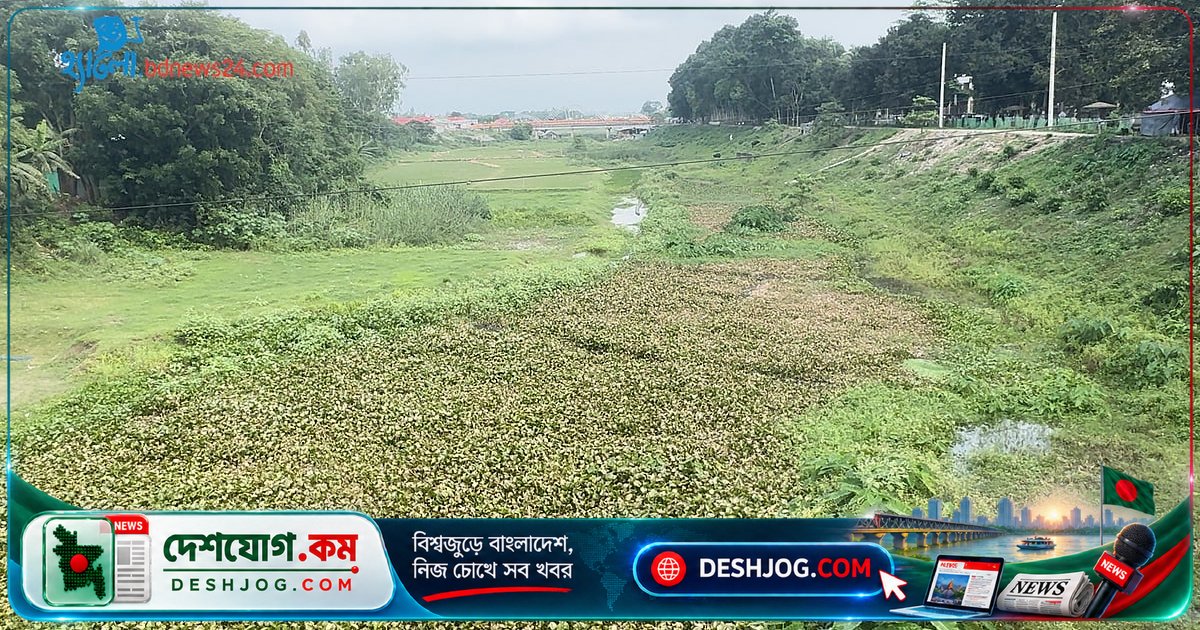 জামালপুরের পুরাতন ব্রহ্মপুত্র: নদী থেকে শুকনো ভূমিতে রূপান্তরিত হয়েছে কীভাবে?
