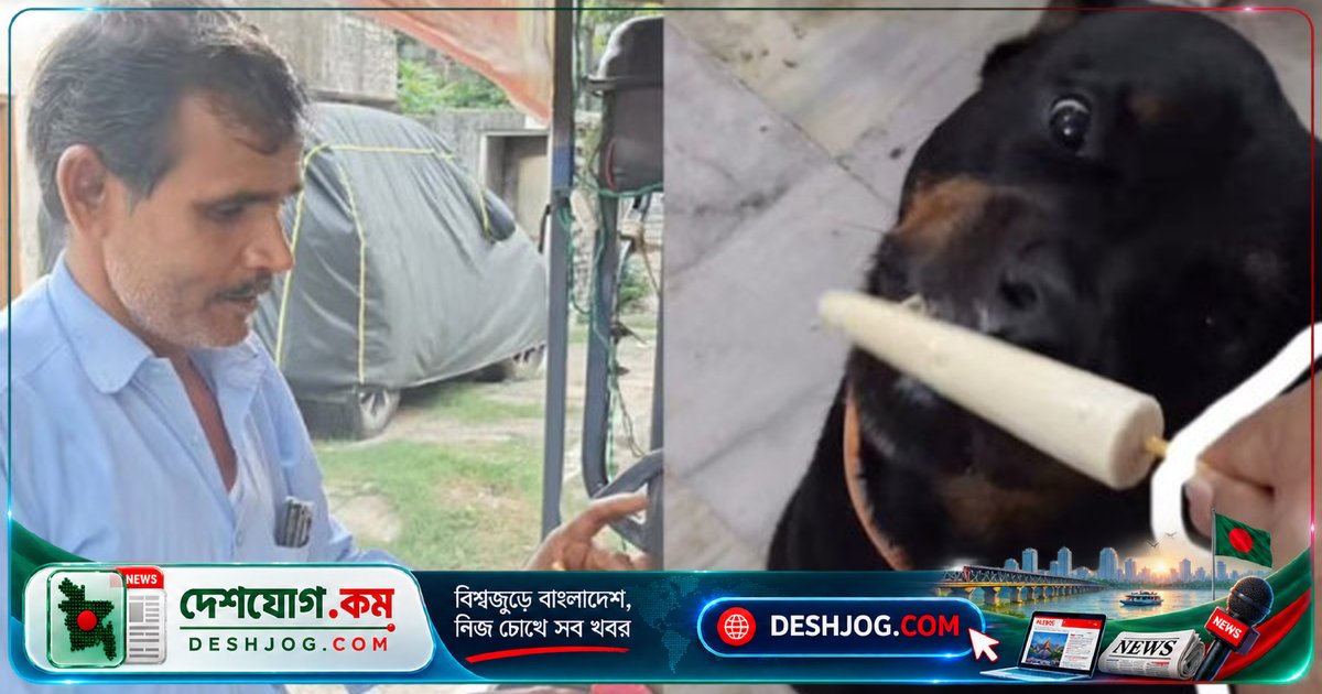 জয়পুরের কুলফি বিক্রেতা কুকুরের জন্য তৈরি করেন চিনি ছাড়া বিশেষ কুলফি, পোষা প্রাণীদের জন্য উদ্ভাবন