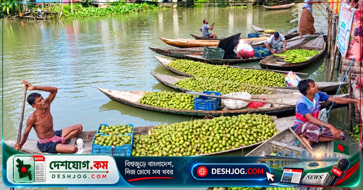 ঝালকাঠি: আমড়ার চাষে বেড়েছে কৃষকদের আয়ের সম্ভাবনা, ভাসমান হাটে তাজা ফল সরবরাহের চাহিদা
