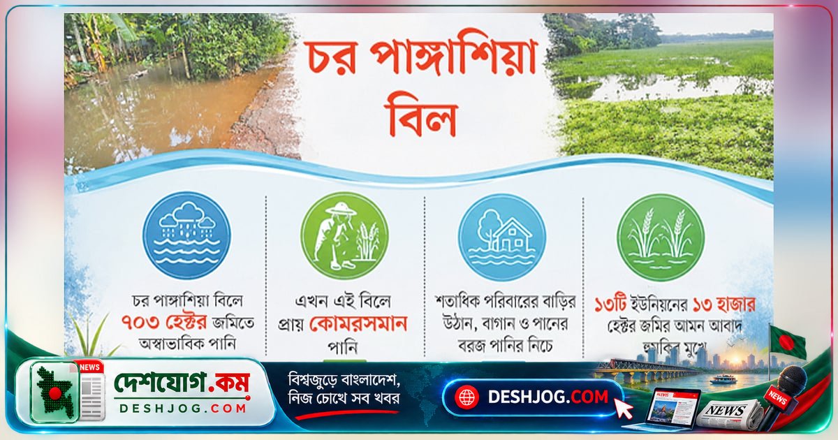 ভোলার চর পাঙ্গাশিয়া বিলে জলাবদ্ধতায় আমন ধান চাষ হুমকির মুখে
