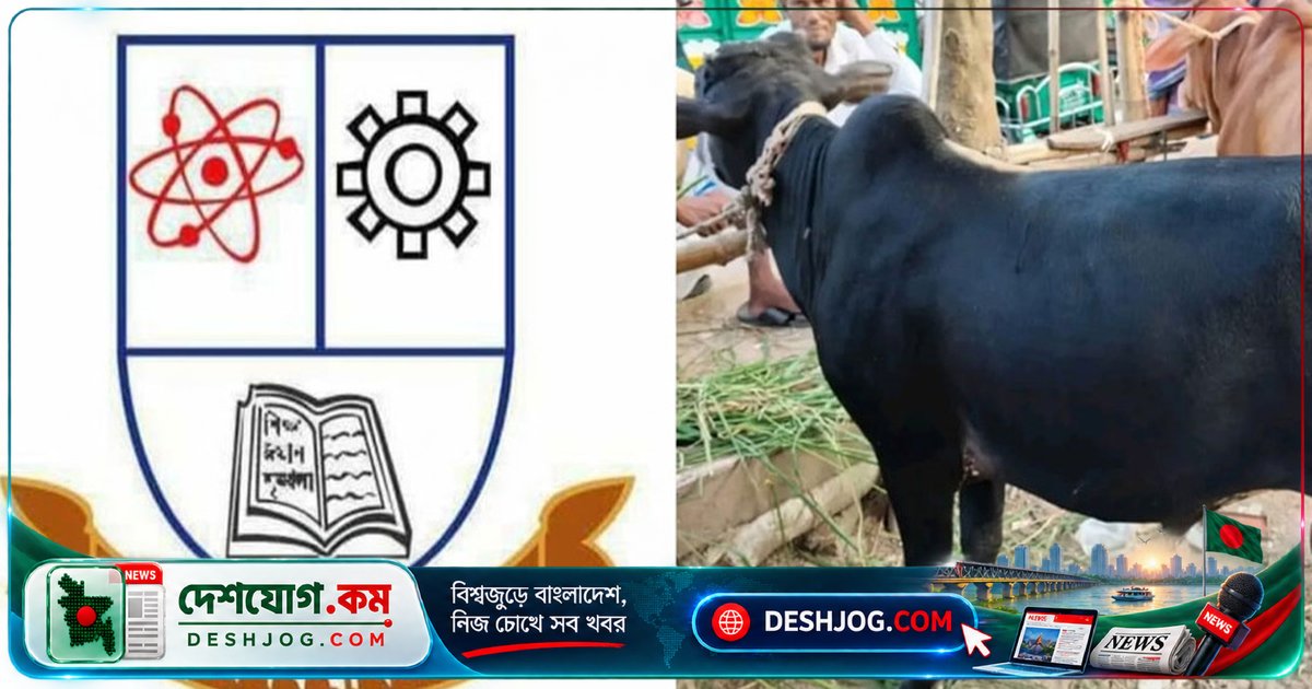 জবিতে গরুভোজের আয়োজন শনিবারও, কাওয়ালি সন্ধ্যা থাকবে