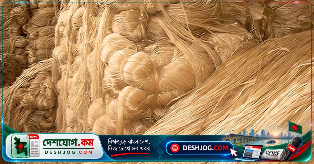'সোনালী আঁশ' পাট: প্লাস্টিকের বিকল্প হিসেবে কীভাবে বাংলাদেশ বিশ্ববাজারে নেতৃত্ব দিতে পারে?