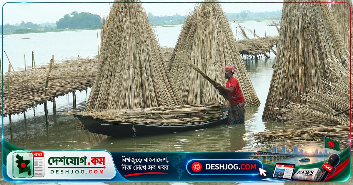 ফরিদপুরে পাটকাঠি থেকে কৃষকদের আয়ের নতুন সুযোগ সৃষ্টি হচ্ছে