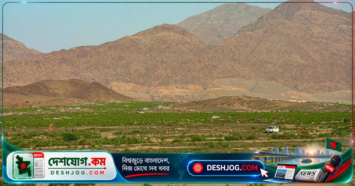 কাবা শরিফের রক্ষাকবচ: কীভাবে হস্তীবাহিনী ধ্বংস হলো আল-মুগাম্মাসে