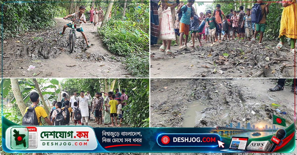 কৈতরীপাড়ার বেহাল সড়ক: শিক্ষার্থী ও গর্ভবতী নারীর জীবন বিপদে পড়েছে দুর্ঘটনার শিকার