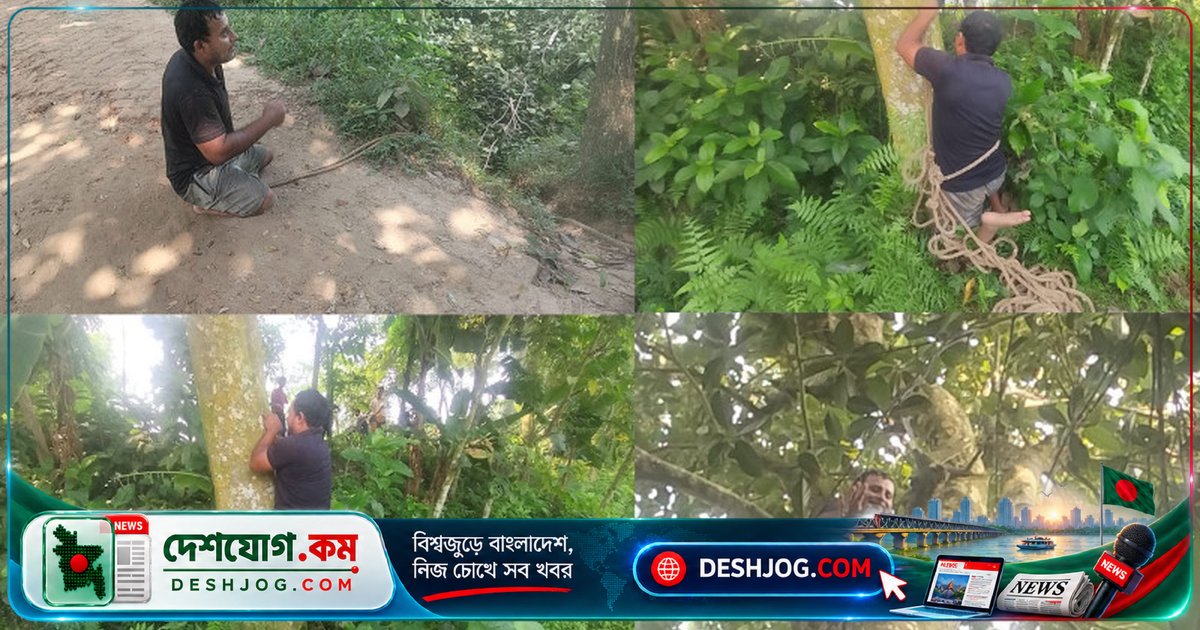 প্রতিবন্ধী কামালের ৩০ বছরের সংগ্রাম: গাছ ছাঁটাই থেকে সংসার চালিয়ে যাচ্ছেন কটিয়াদীর বীর