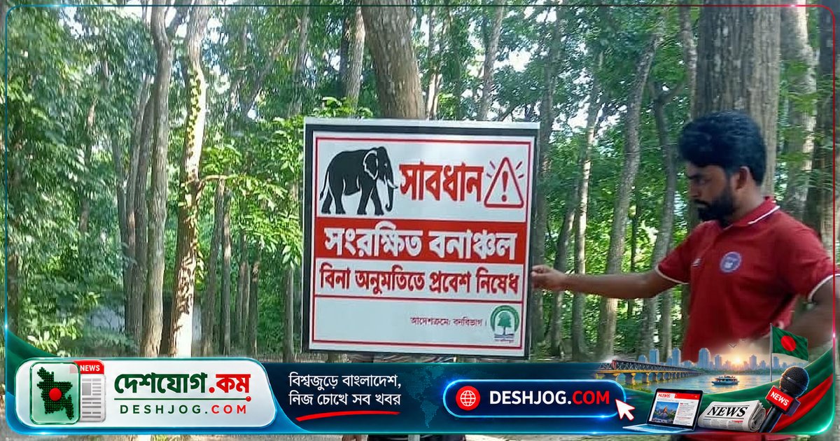 কাপ্তাই সীতাপাহাড়ে পর্যটকদের প্রবেশ নিষিদ্ধ: পথ হারিয়ে বিপদে পড়ছেন ভ্রমণকারীরা