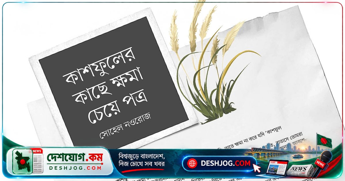 কাশফুলের প্রতি ক্ষমা প্রার্থনা: মৌসুমি অপরাধীদের অনুতপ্ত চিঠি