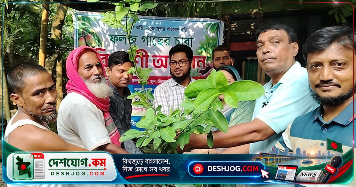 চাঁদপুরের কচুয়ায় ফলজ গাছের চারা বিতরণে উদ্যোগী খোকন স্মৃতি সমাজকল্যাণ সংঘ