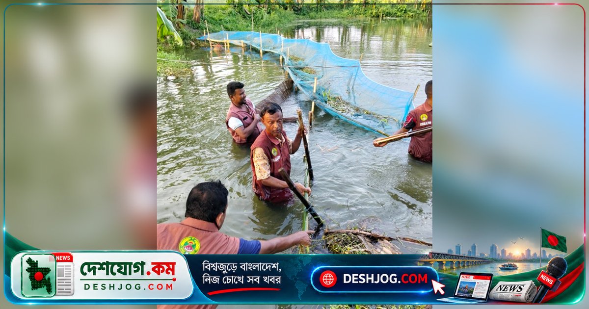 যশোরের কেশবপুরে অবৈধ মাছশিকারির বেড়া-জাল উচ্ছেদে ৬০০ বিঘা ধান রক্ষা পায়, জব্দ ৪ হাজার মিটার নিষিদ্ধ জাল