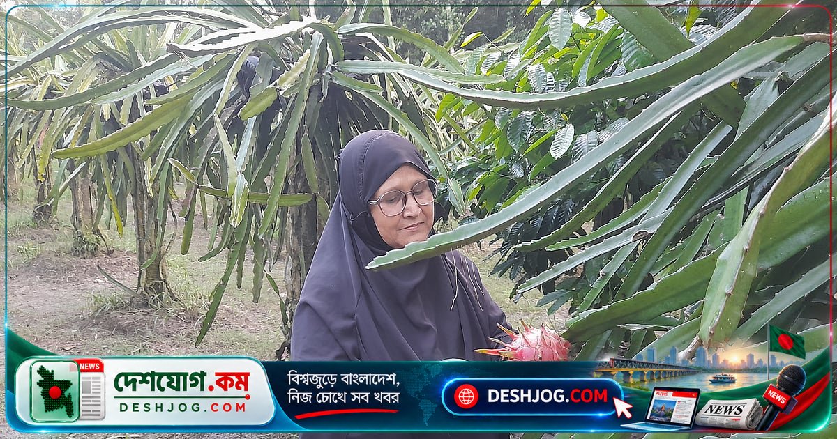 স্বামীর অসমাপ্ত স্বপ্ন পূরণে একা লড়াই করে বিদেশি ফল চাষে সফলতা অর্জন খাদিজা আক্তার