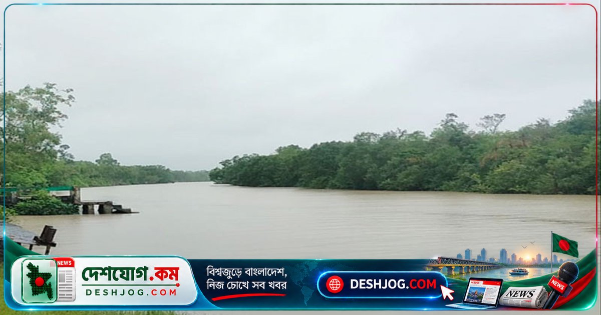 খুলনার দাকোপে কুমিরের হামলায় ৭৫ বছর বয়সী বৃদ্ধের পায়ে ১৫টি সেলাই, চিকিৎসাধীন
