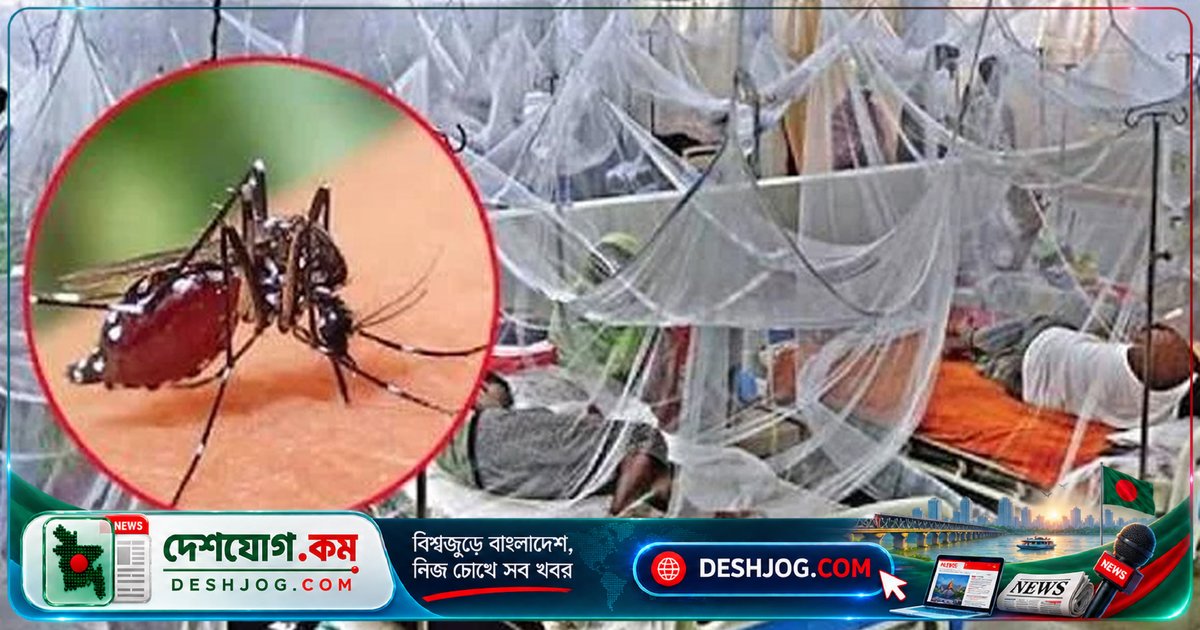 খুলনা বিভাগে একদিনে সর্বোচ্চ ৩৩৪ ডেঙ্গু রোগী হাসপাতালে ভর্তি, খুলনা মেডিকেলে ৪৫ জনের চিকিৎসা চলছে