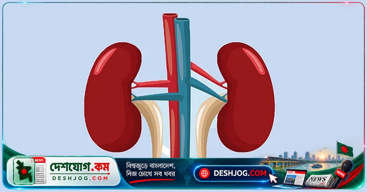 জয়পুরহাটে কিডনি বিক্রির চক্র: জামিন পেয়ে আবার অপরাধে জড়িয়ে পড়ছে আসামিরা, বিচার শেষ হয়নি কোনো মামলায়