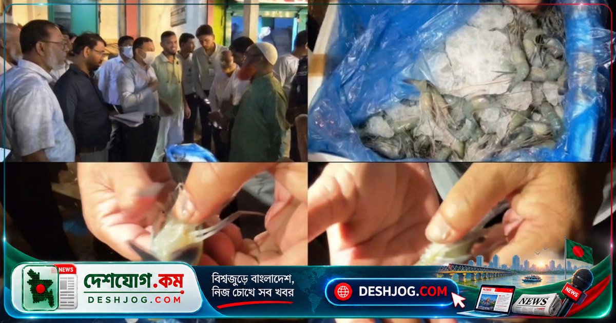 কিশোরগঞ্জ ভৈরবে জেলি মেশানো চিংড়ি বিক্রির অভিযানে ৬০ হাজার টাকা জরিমানা ও ৭০ কেজি মাছ ধ্বংস