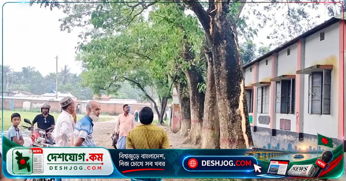 কিশোরগঞ্জের স্কুলে বজ্রপাতে গাছ ফেটে তিন শিক্ষার্থী জ্ঞান হারায়, চার আহত