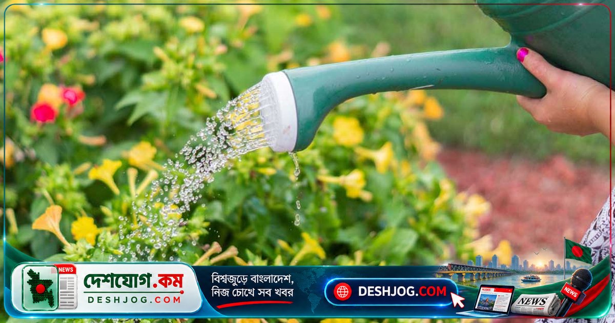 রান্নাঘরের বর্জ্য থেকে গাছের যত্ন: কীভাবে সাশ্রয়ী ও পরিবেশবান্ধবভাবে গাছের পুষ্টি বাড়াতে পারেন?