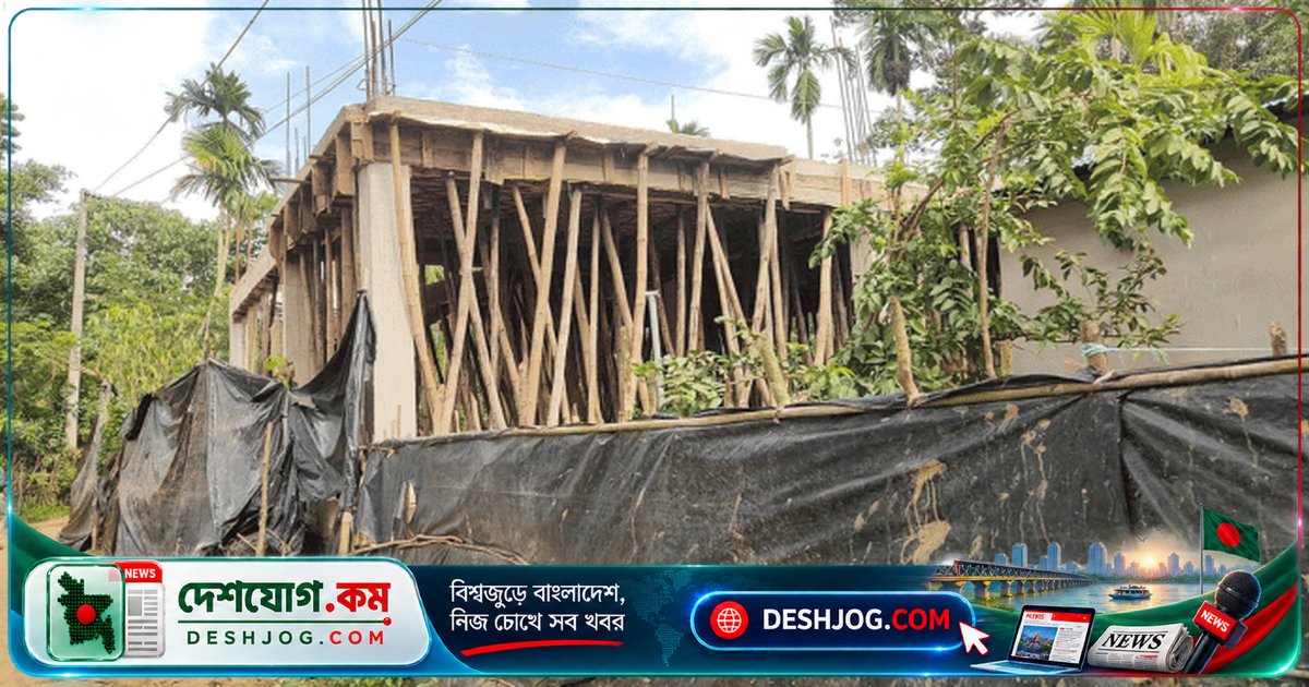 কক্সবাজার চকরিয়া বনভূমিতে প্রভাবশালী সিন্ডিকেটের অবৈধ দখল: সংরক্ষিত বন সংকুচিত হচ্ছে জীববৈচিত্র্যের হুমকিতে