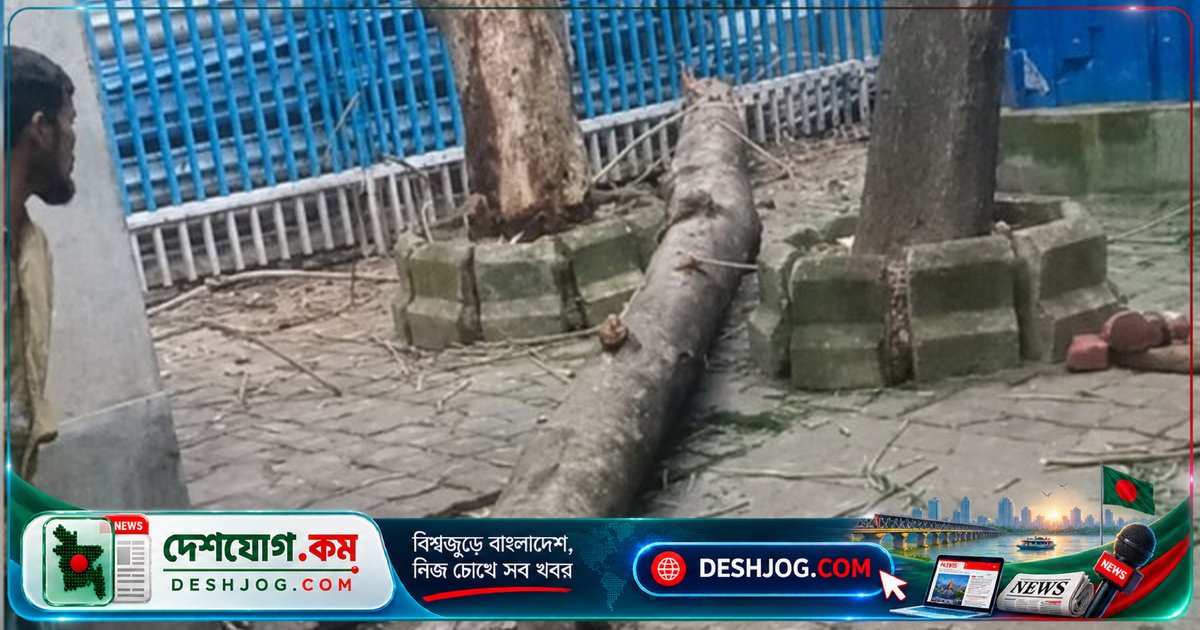 কলকাতার সরকারি হাসপাতালে গাছ ভেঙে স্বজনদের ওপর পড়ায় এক নারী নিহত