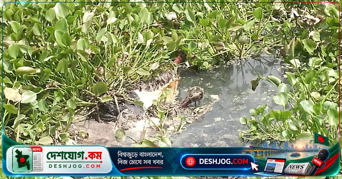 যশোরের কপোতাক্ষ নদ থেকে নিখোঁজ ভ্যানচালকের অর্ধগলিত মরদেহ উদ্ধার, হত্যাকাণ্ডের সন্দেহে তদন্ত চলছে