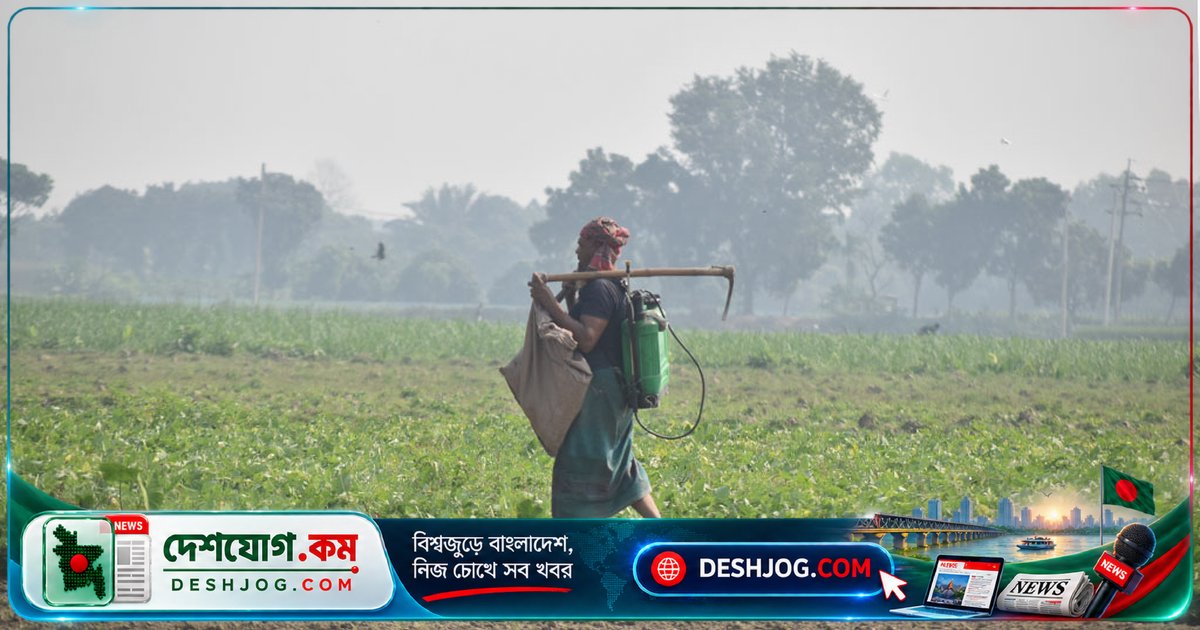 রাজশাহীর পবা উপজেলায় ভোরের আলোতে কৃষকের অক্লান্ত পরিশ্রমের চিত্র: সোনালি ফসলের স্বপ্নের শুরু