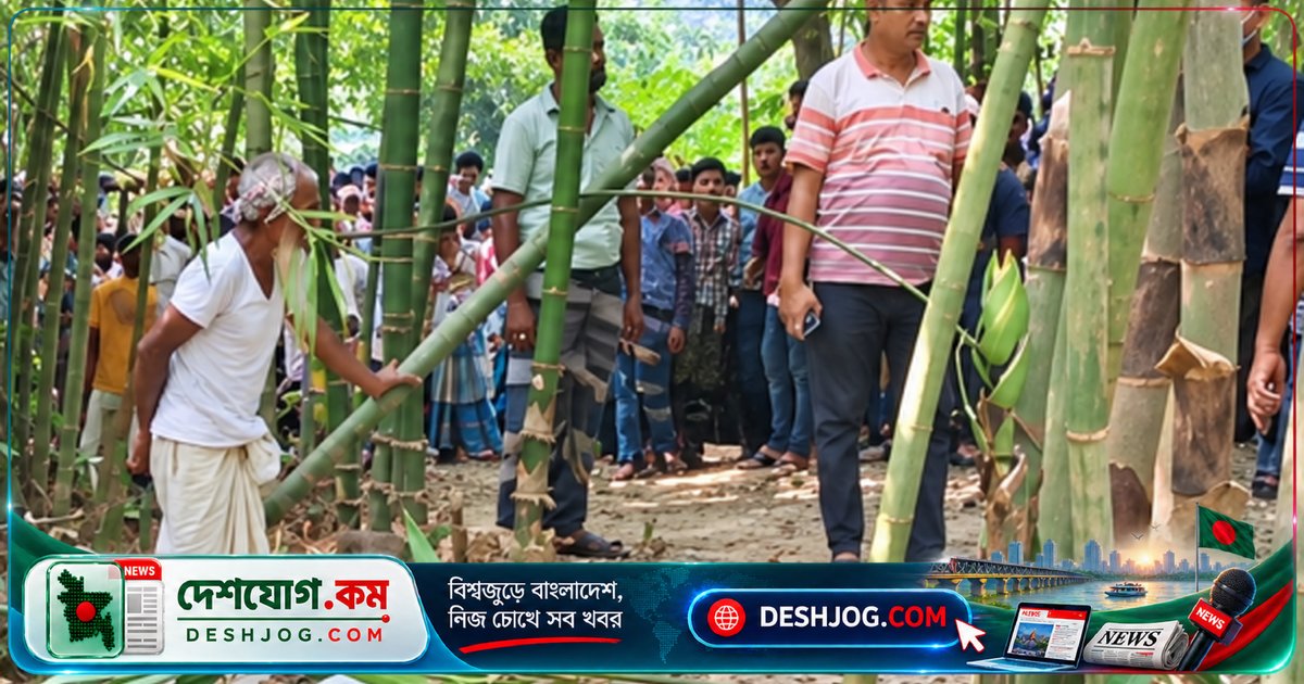 বরুড়া উপজেলায় বাঁশঝাড়ে গলাকাটা মরদেহ উদ্ধার: ৮০ বছর বয়সী বৃদ্ধের মৃত্যু রহস্যময়